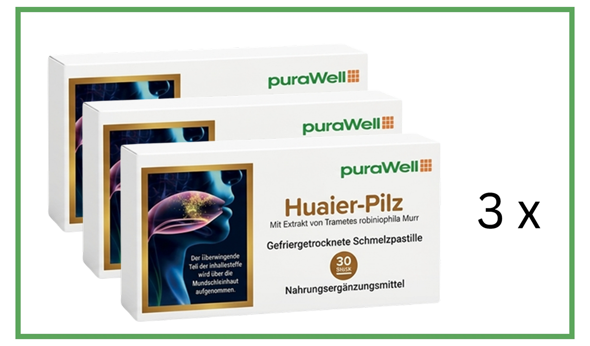 Kurpackung mit 3 Monatspackungen Huaier-Pilz Schmelzpastillen