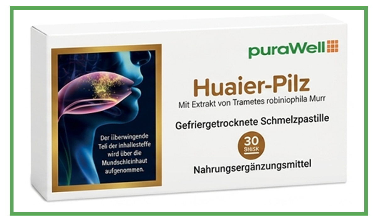 Huaier-Pilz Schmelzpastillen (30 Stück)