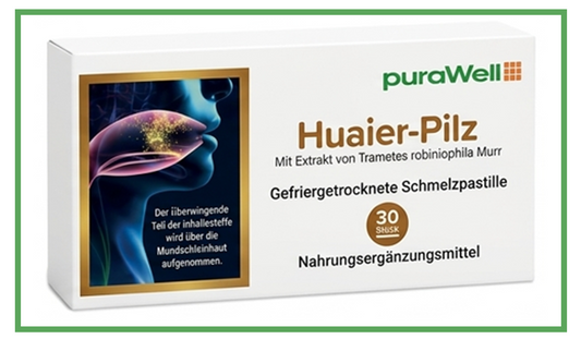 Huaier-Pilz Schmelzpastillen (30 Stück)